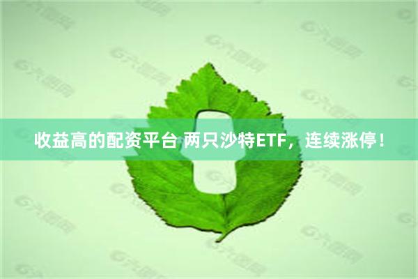 收益高的配资平台 两只沙特ETF，连续涨停！