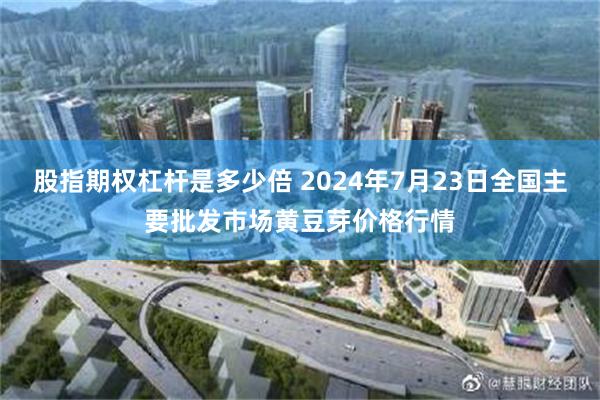 股指期权杠杆是多少倍 2024年7月23日全国主要批发市场黄豆芽价格行情