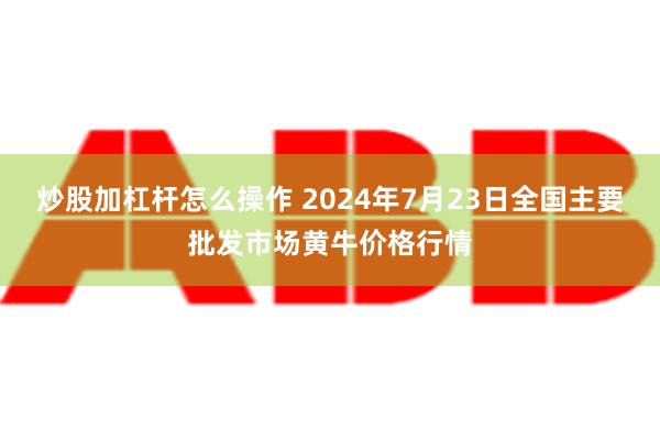 炒股加杠杆怎么操作 2024年7月23日全国主要批发市场黄牛价格行情