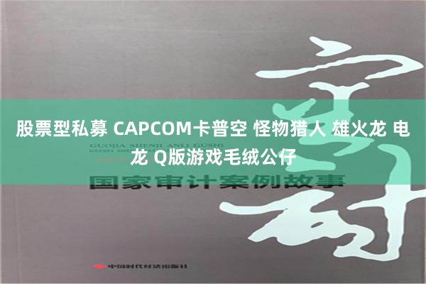 股票型私募 CAPCOM卡普空 怪物猎人 雄火龙 电龙 Q版游戏毛绒公仔