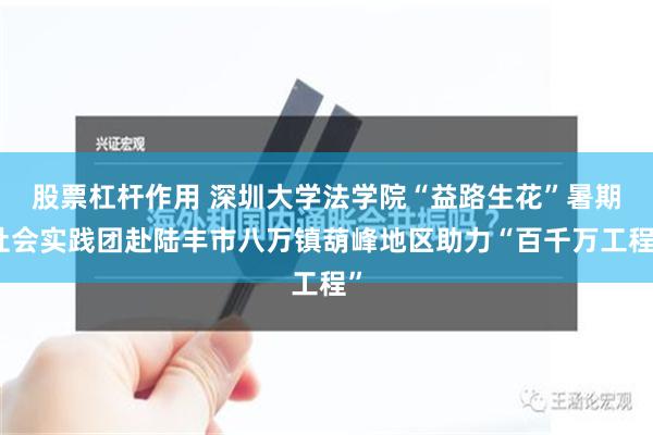 股票杠杆作用 深圳大学法学院“益路生花”暑期社会实践团赴陆丰市八万镇葫峰地区助力“百千万工程”