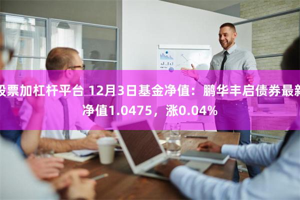 股票加杠杆平台 12月3日基金净值：鹏华丰启债券最新净值1.0475，涨0.04%