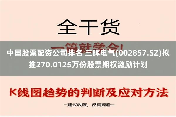 中国股票配资公司排名 三晖电气(002857.SZ)拟推270.0125万份股票期权激励计划