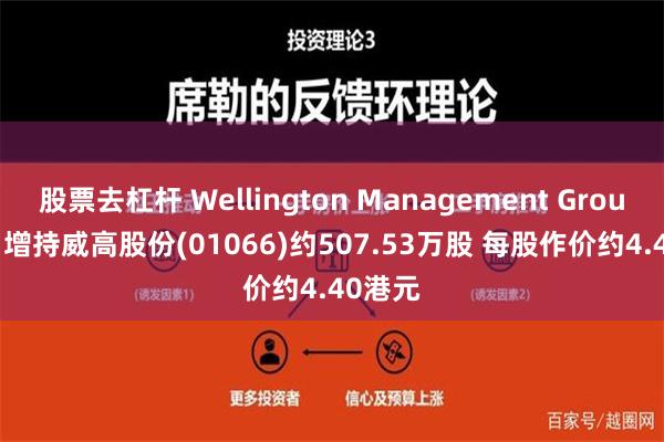 股票去杠杆 Wellington Management Group LLP 增持威高股份(01066)约507.53万股 每股作价约4.40港元